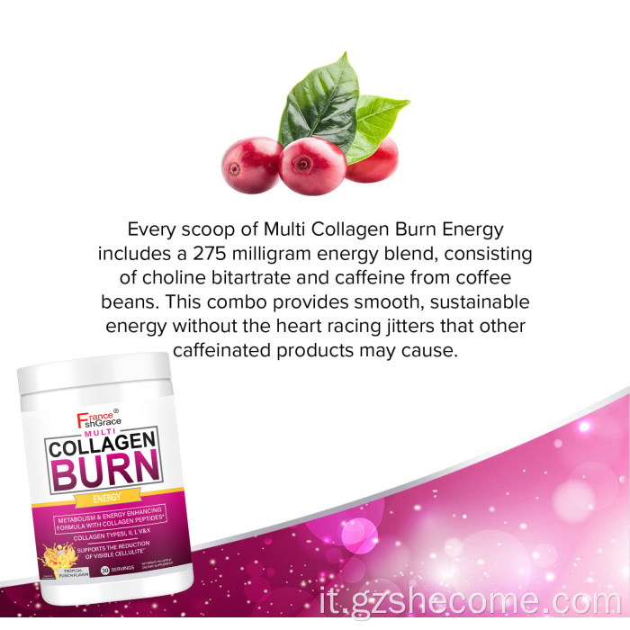 Polvere multi collagene di collagene idrolizzato organico